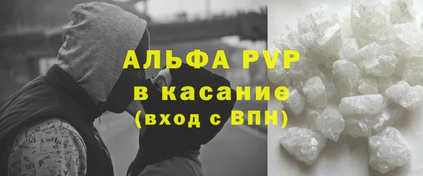 стафф Губаха