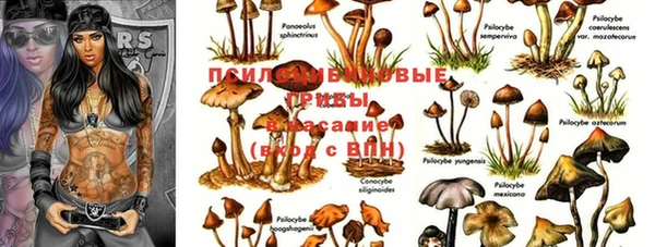 марки nbome Пересвет
