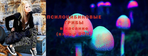 тгк Переславль-Залесский