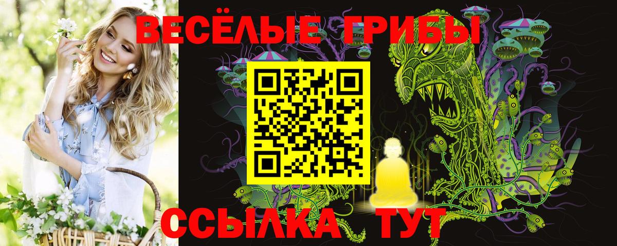Псилоцибиновые грибы Magic Shrooms  Псилоцибиновые грибы мухоморы  Вход с VPN  Советский 