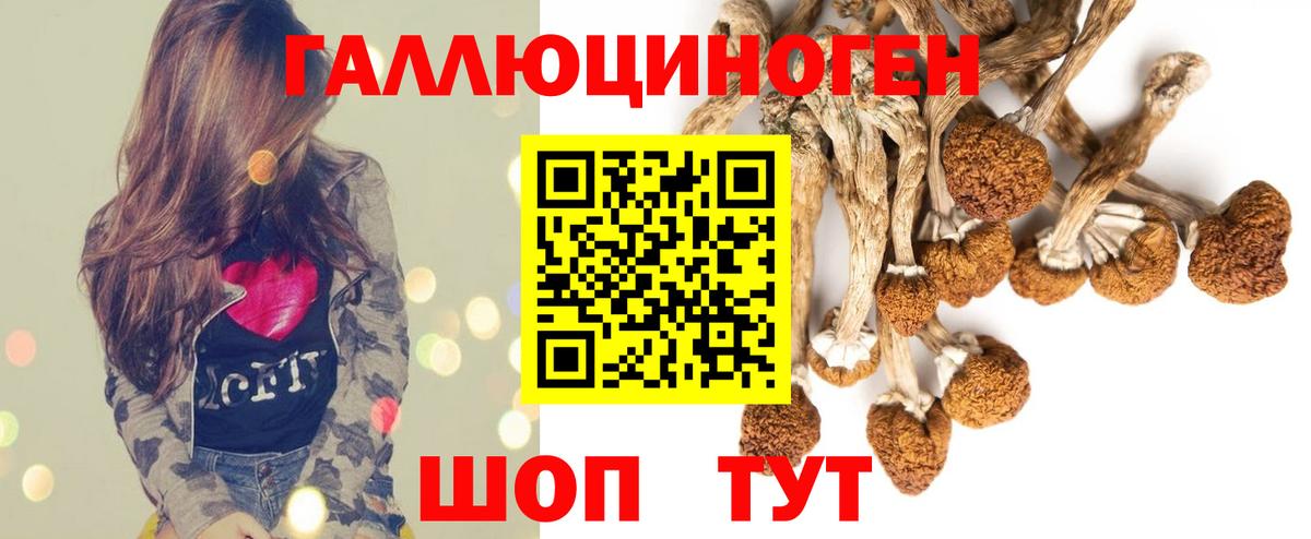 Галлюциногенные грибы мухоморы Советский